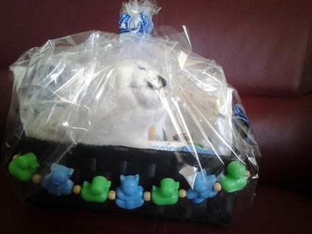 Dit pakket werd verkocht voor € 10,50